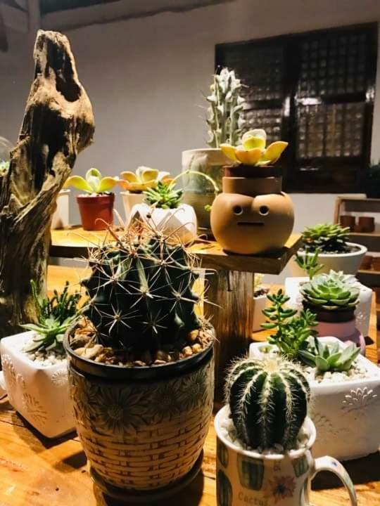 Samkara Restaurant And Garden Resort Lucban Ngoại thất bức ảnh